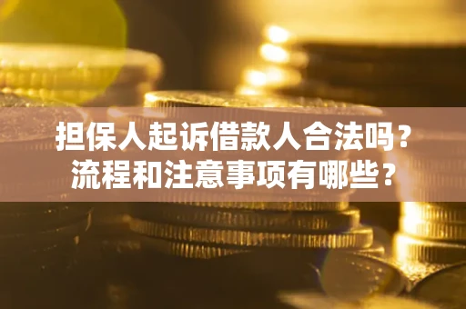 北京担保人起诉借款人合法吗？流程和注意事项有哪些？