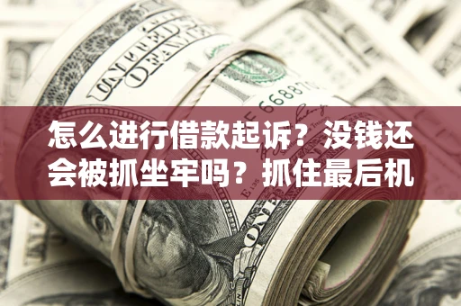 北京怎么进行借款起诉？没钱还会被抓坐牢吗？抓住最后机会！