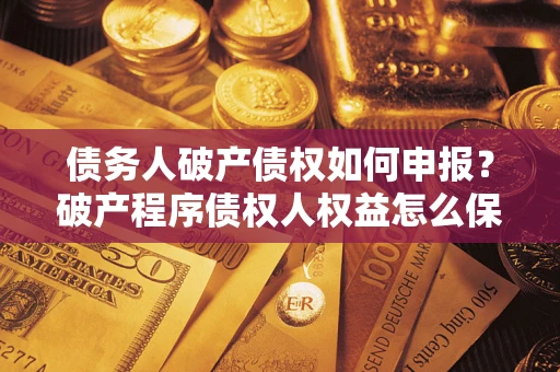 北京债务人破产债权如何申报？破产程序债权人权益怎么保障？
