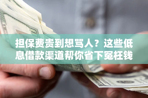 北京担保费贵到想骂人？这些低息借款渠道帮你省下冤枉钱
