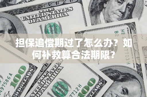 北京担保追偿期过了怎么办？如何补救算合法期限？