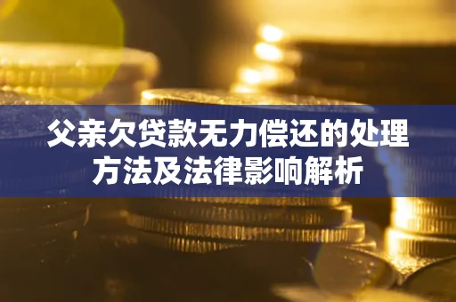 北京父亲欠贷款无力偿还的处理方法及法律影响解析
